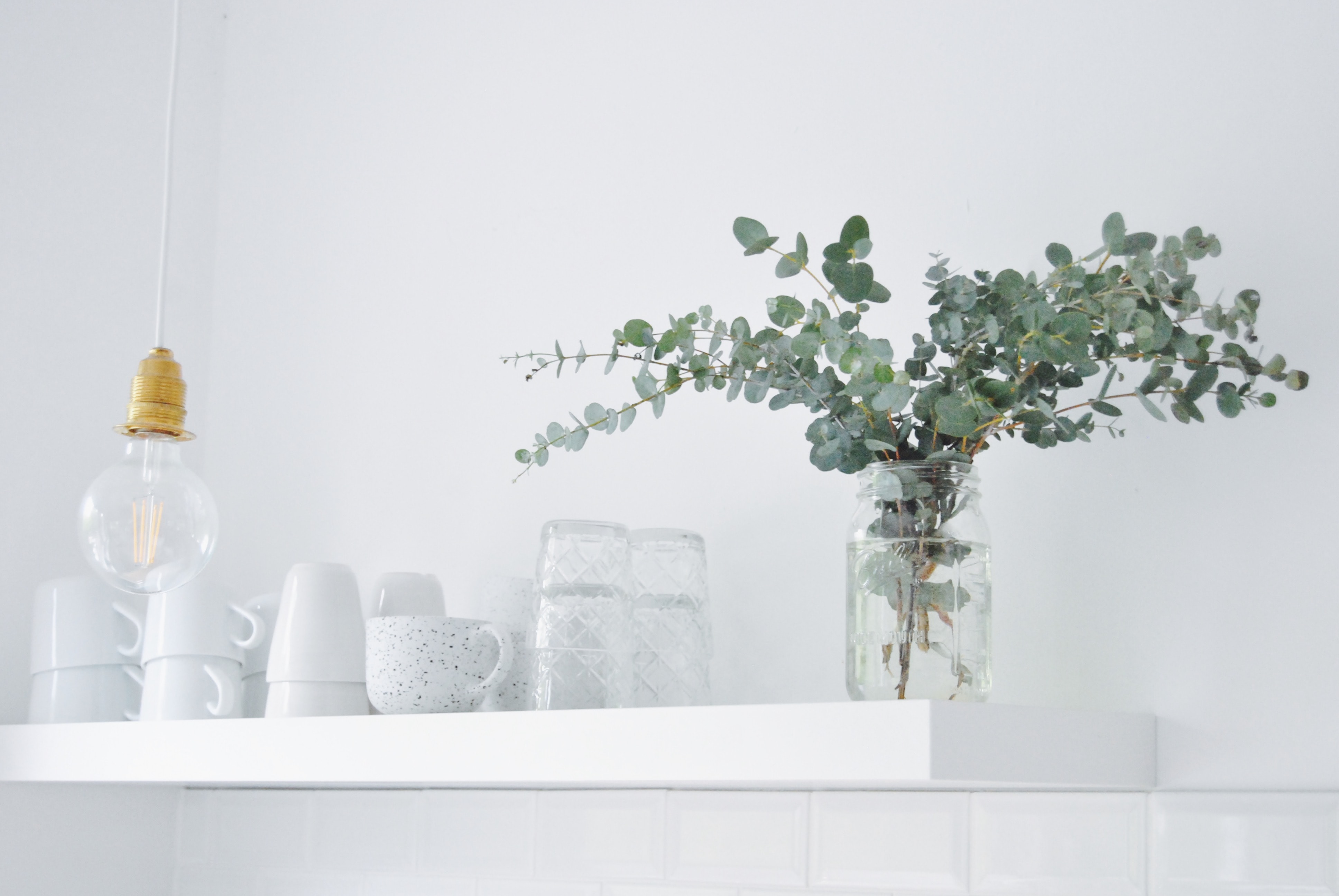 Eukalyptus, eucalyptus, white kitchen